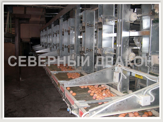 Лифтовая система Лифтовая система