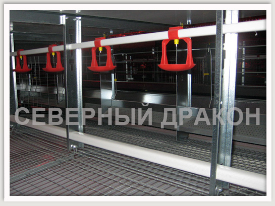 Стандартная клетка для родительского стада