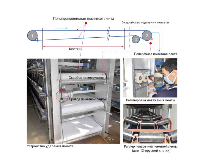 manure system.jpg manure system.jpg